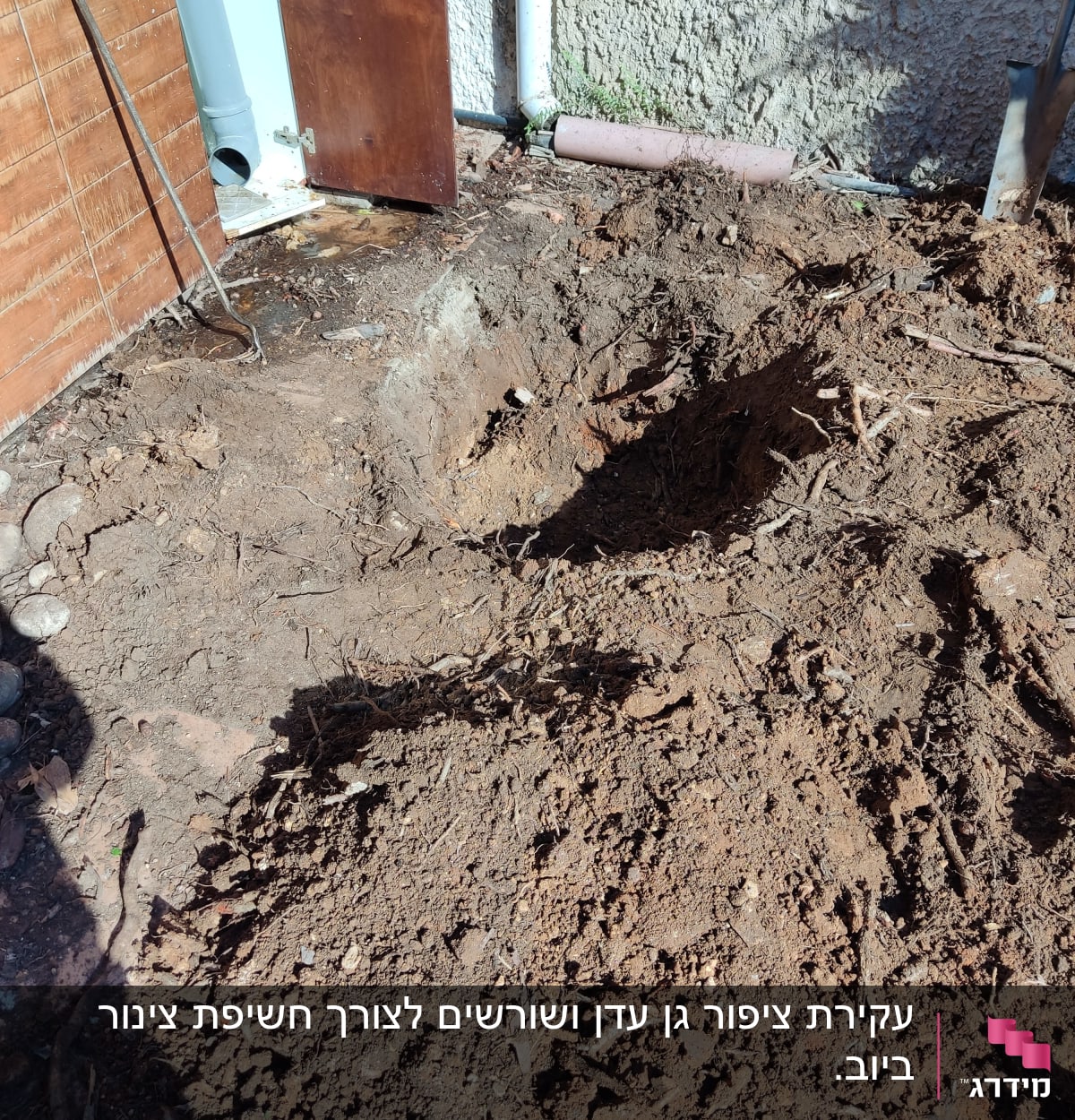 אדמה חפורה עם כלי גינון ליד קיר